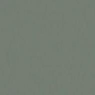 41 - VERT EUCALYPTUS