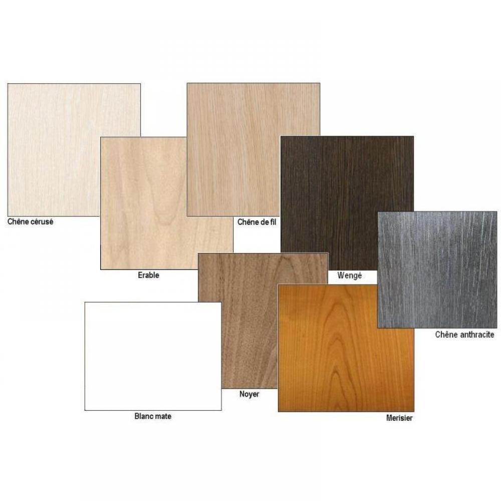 Armoire lit escamotable CAMrevêtement polyuréthaneS JACQUELIN autoporteur avec canapé Couchage 140cm