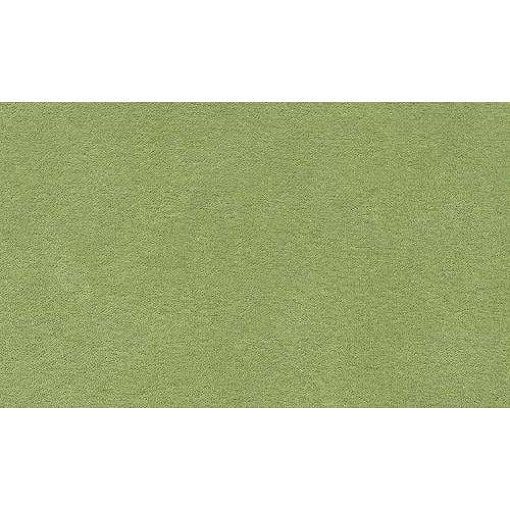 Canapé lit HONFLEUR vert ouverture EXPRESS couchage 120*192*20cm sommier lattes RENATONISI