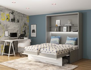 DUO SOFA armoire lit escamotable canapé gris couchage 2 x 90/200 structure gris façade blanc