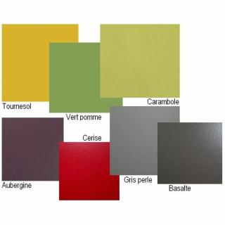 Armoire lit escamotable CAMrevêtement polyuréthaneS JACQUELIN autoporteur avec canapé Couchage 140cm