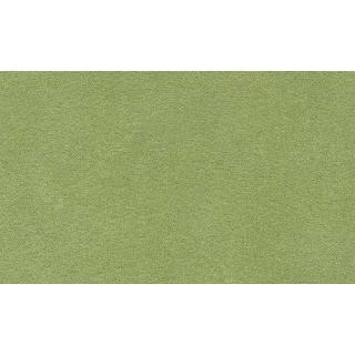 Canapé lit HONFLEUR vert ouverture EXPRESS couchage 120*192*20cm sommier lattes RENATONISI