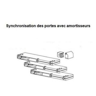Lot 3 amortisseurs ANKARA pour synchronisation portes coulissantes