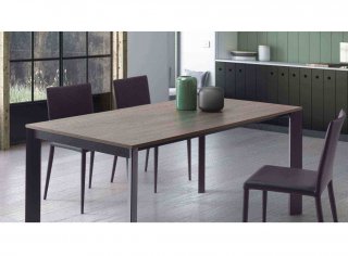 Table 10 couverts TEOREMA extensible 160 à 250cm pieds métal tourterelle plateau placage chêne tabac